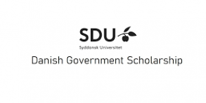 Danish Government Scholarship